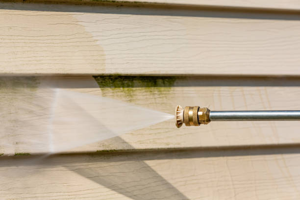 Best Roof Pressure Washing  in Etowah, TN